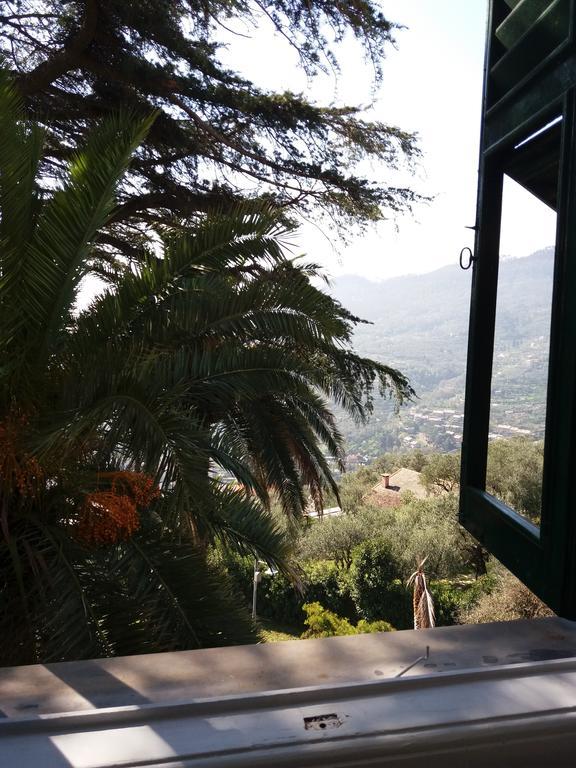 Agriturismo La Mela Secca Bed & Breakfast *